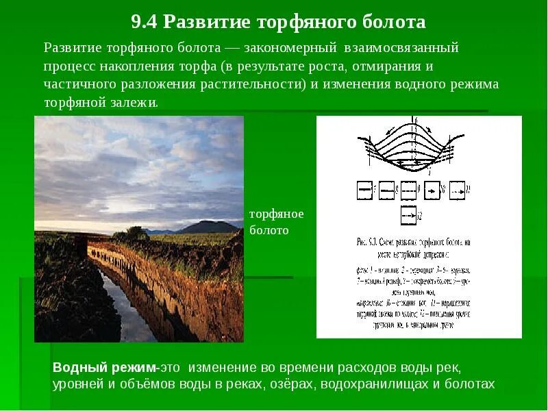 Торф на болоте. Торфяное болото. Торфяное болото 5 букв кроссворд. Девоншир торфяные болота. Торфяное болото 5 букв.