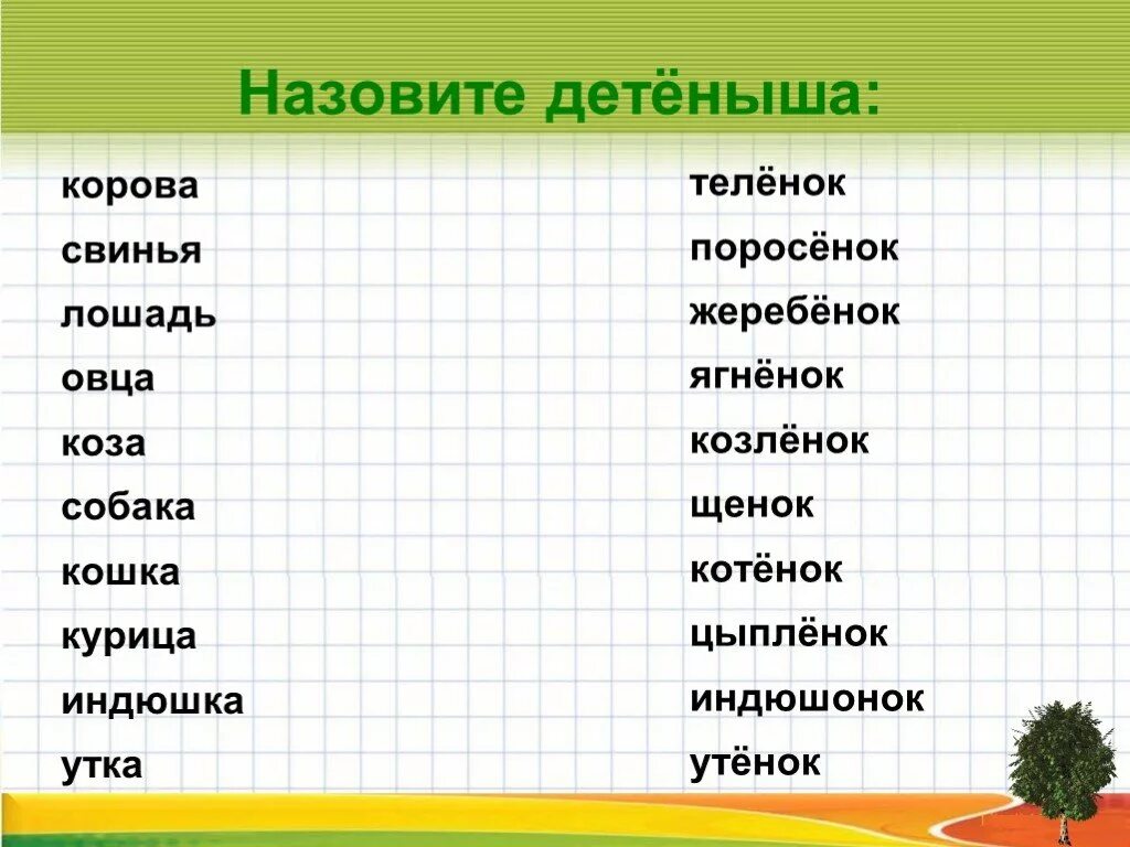 Кличка цыпленка 2 класс. Кличка теленка. Имена для цыплят. Как назвать теленка. Как можно назвать телёнк.