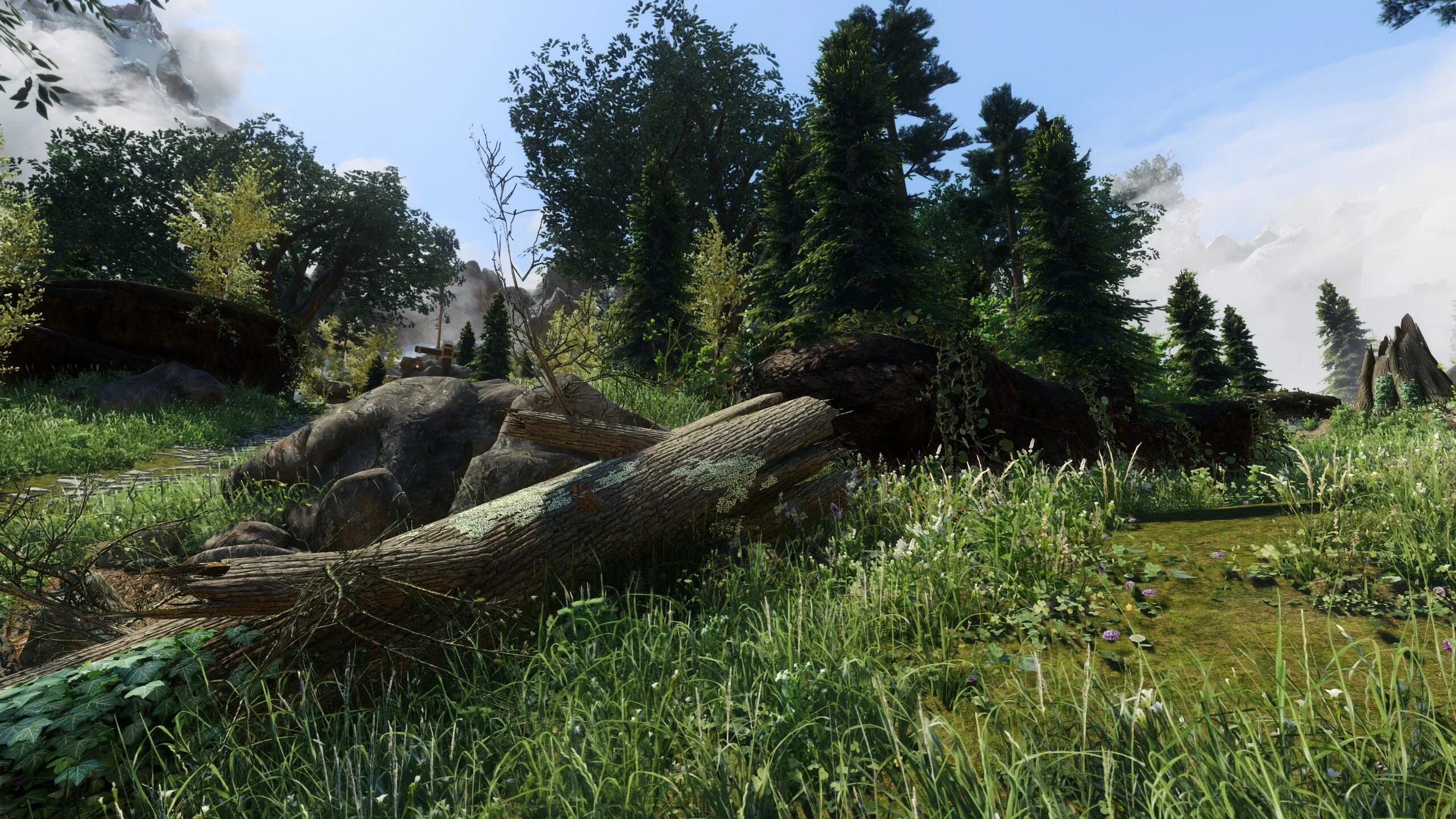 Nat enb