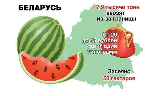 Арбузы в беларуси