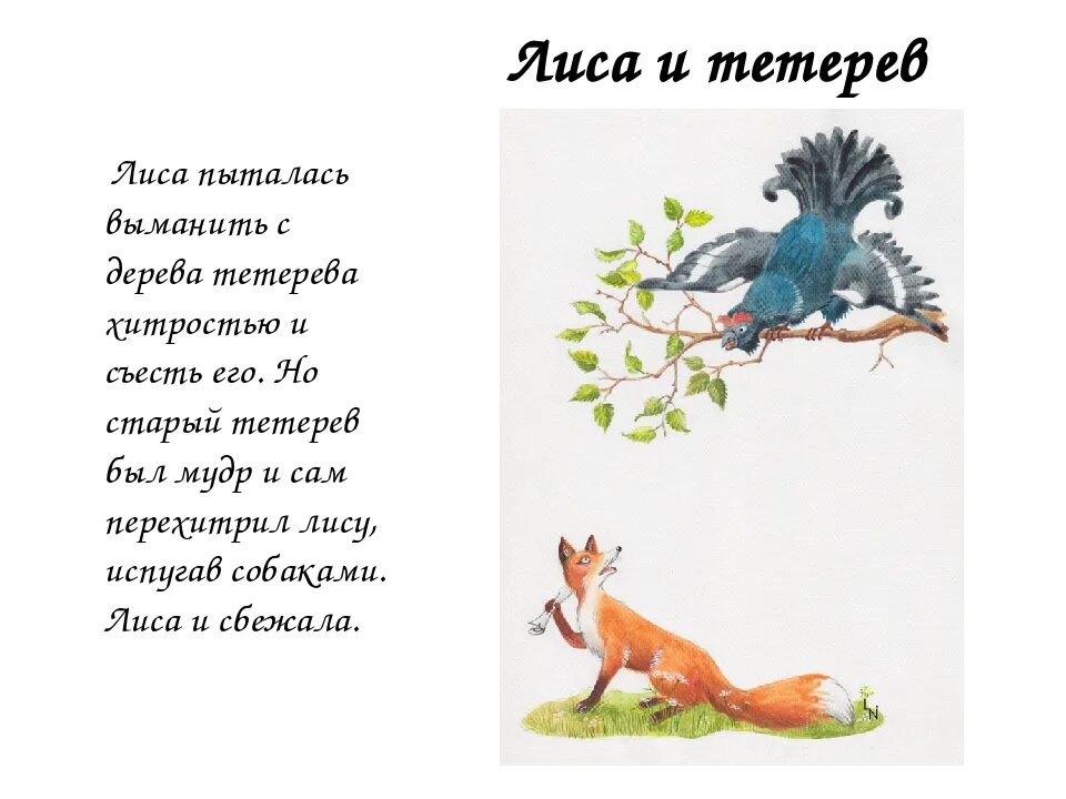 Произведения про лису. Басня лиса и тетерев Крылов. Главные герои сказки лиса и тетерев. Рассказ лиса и тетерев. Рассказ о сказке лиса и тетерев.