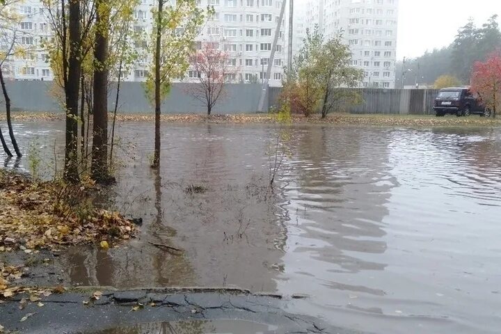 Дожди косые дожди. Ливень в Воронеже. Воронеж дождь. Октябрь ливень. Косой ливень.