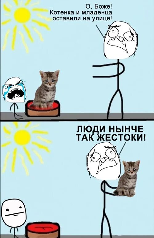 Мемы про котят. Мемы с котиками. Смешные мемы с котами. Смешные мемы про котов. Мемы с котиками ржачные.