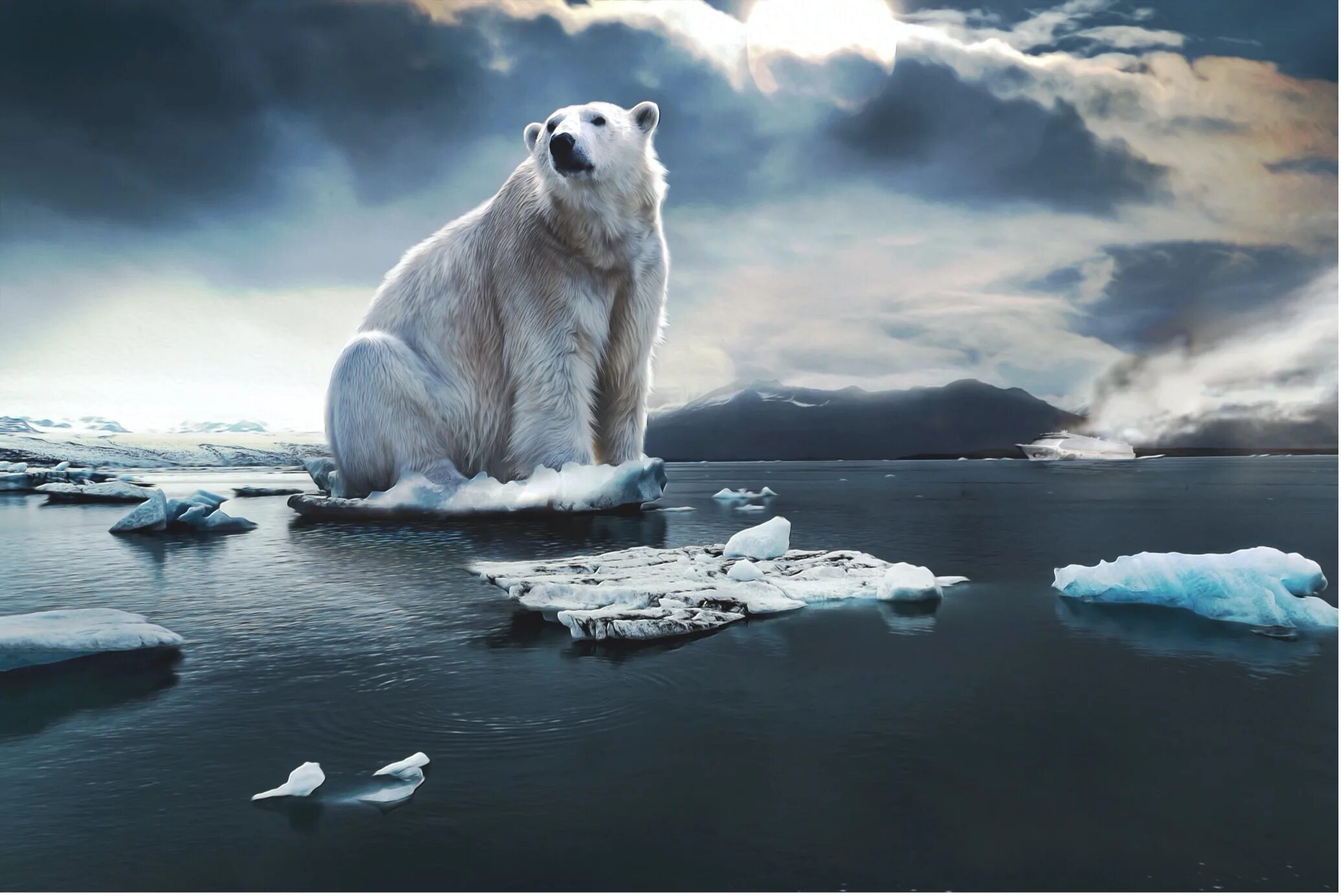 Таяние ледников Полярные медведи. Белый медведь на леднике. Потепление климата. Глабальная потепленение.