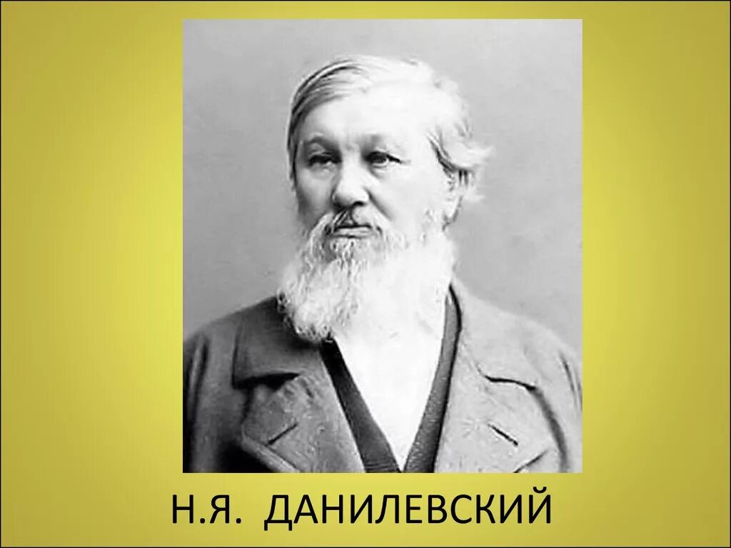 Данилевский биография. Я. Н. Данилевский биография. Н.