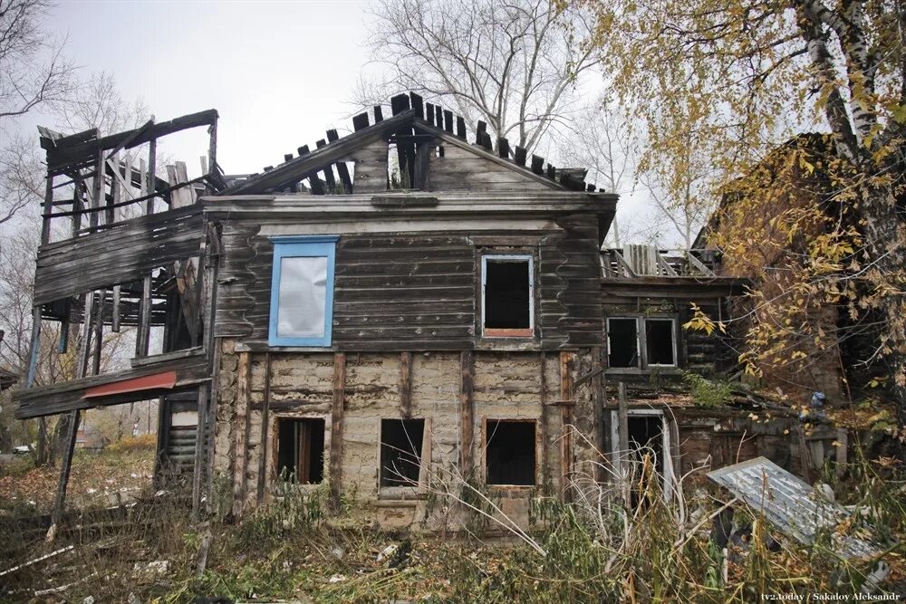Домик на дереве разрушился. Разрушенное дерево. Дерево упало на дом. Разрушить дом дерево. Разрушить дом дерево.