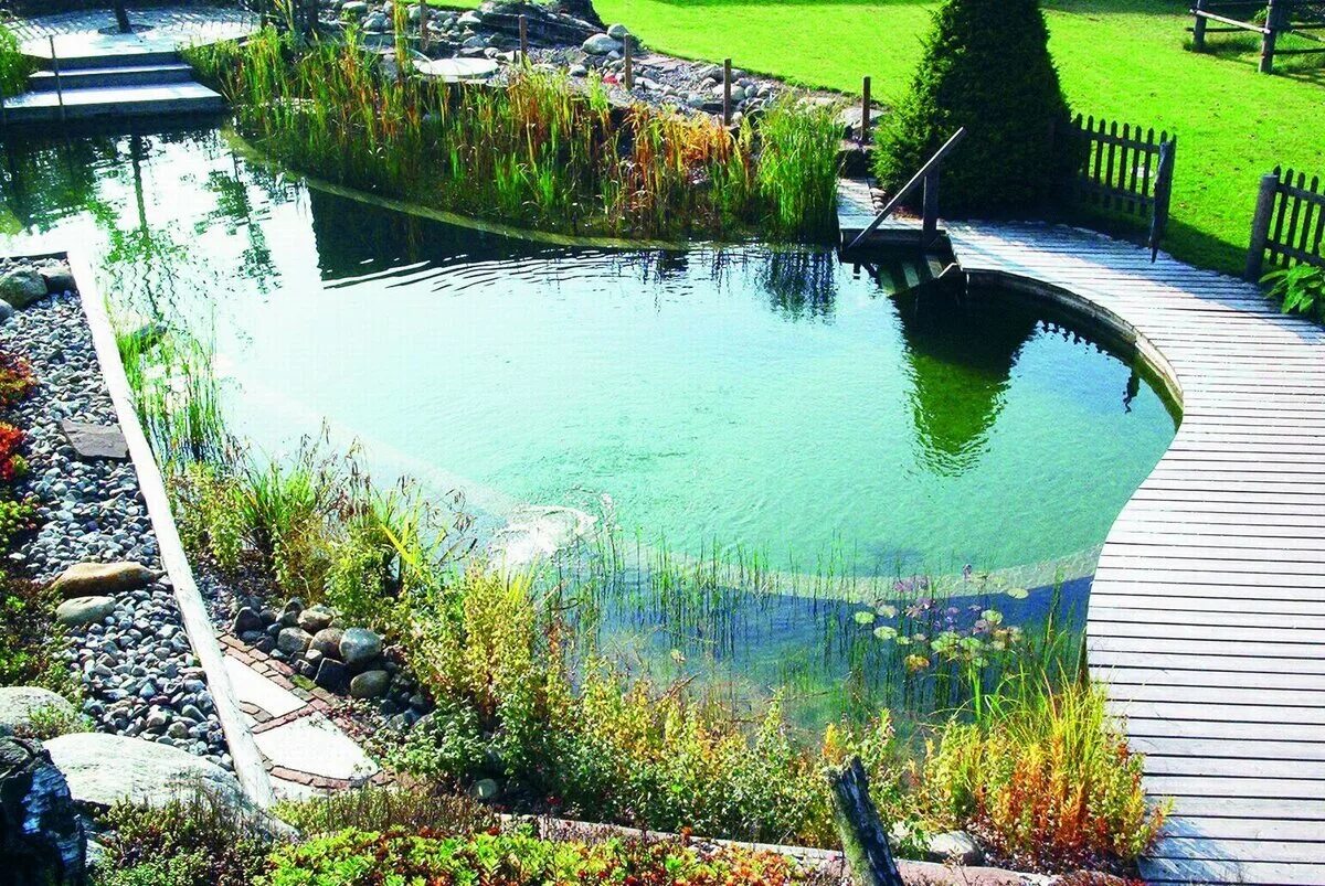 Сток бассейна озер. Пруд в саду с биоплато. Биоплато для пруда. Искусственный пруд с биоплато. Ландшафт dizayn искусственного озеро.