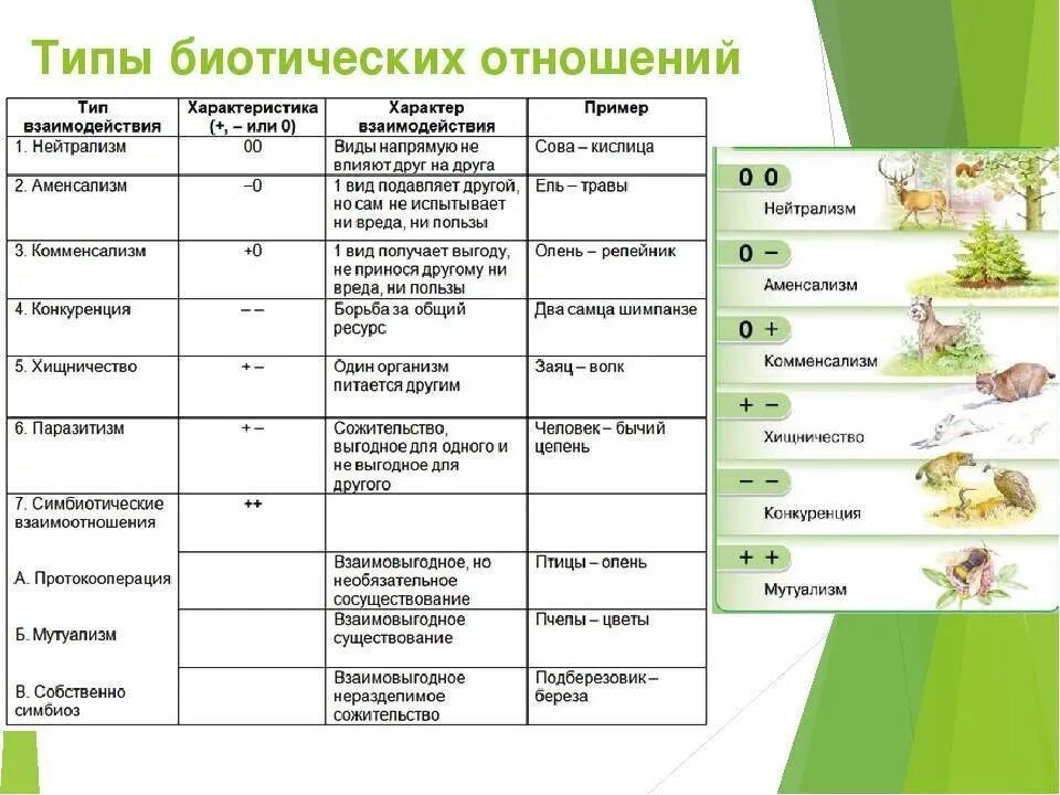 Какую среду обитания освоила яблоня впр. Типы взаимоотношений организмов. Тип биотических взаимоотношений организмов. Типы биотических взаимодействий организмов. Биотические факторы , биотические отношения таблица.