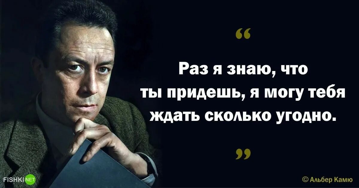 Альбер Камю цитаты. Альбер Камю цитаты о любви. Альбер Камю цитаты о смысле жизни. 6 афоризмов