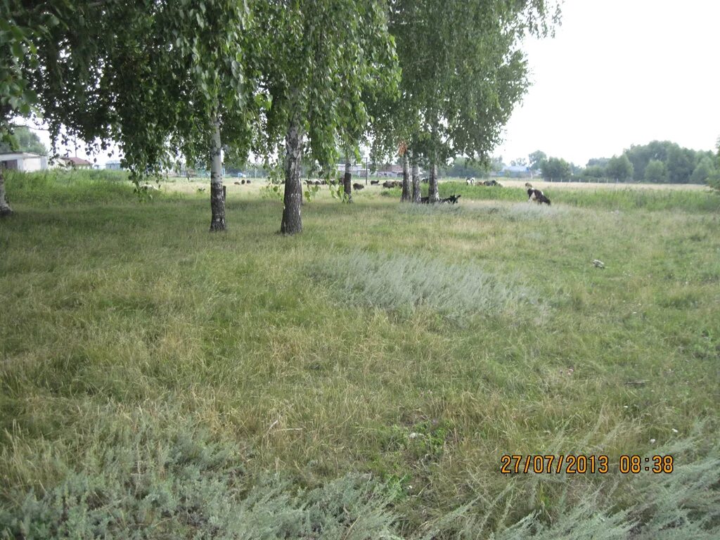 Автобус тимерсяны ульяновск. Средние тимерсяны ульяновской. нижние тимерсяны. нижние тимерсяны школа.
