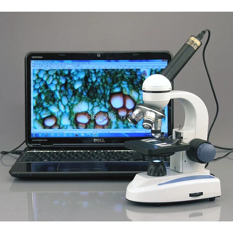 Тубус цифрового микроскопа. Цифровой микроскоп Digital Microscope. Микроскоп postmart цифровой USB. Цифровой микроскоп qx7. Микроскоп джигитал камера.