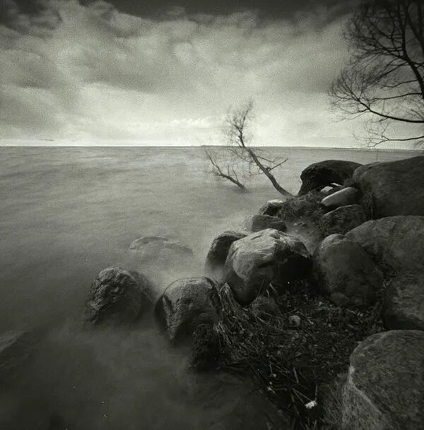 не стоит бояться испытаний в жизни сильный ветер. арестантская мудрость. не сломает ветер душу арестантскую. наколка не. не сломает ветер душу арестантскую.