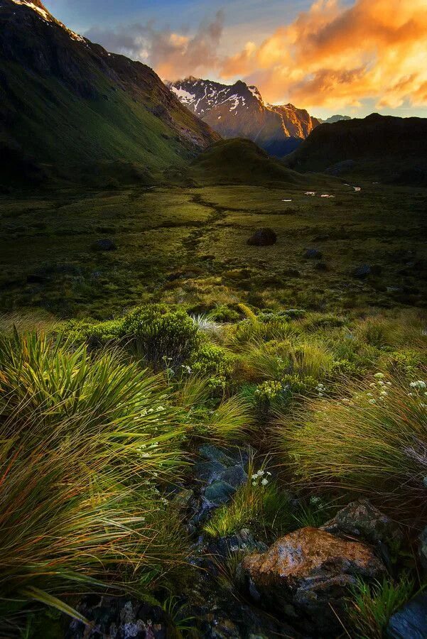 Natural last. Новая Зеландия фото природы без ретуши. New Zealand Mountains. Горний мир. Mountains Sunset.