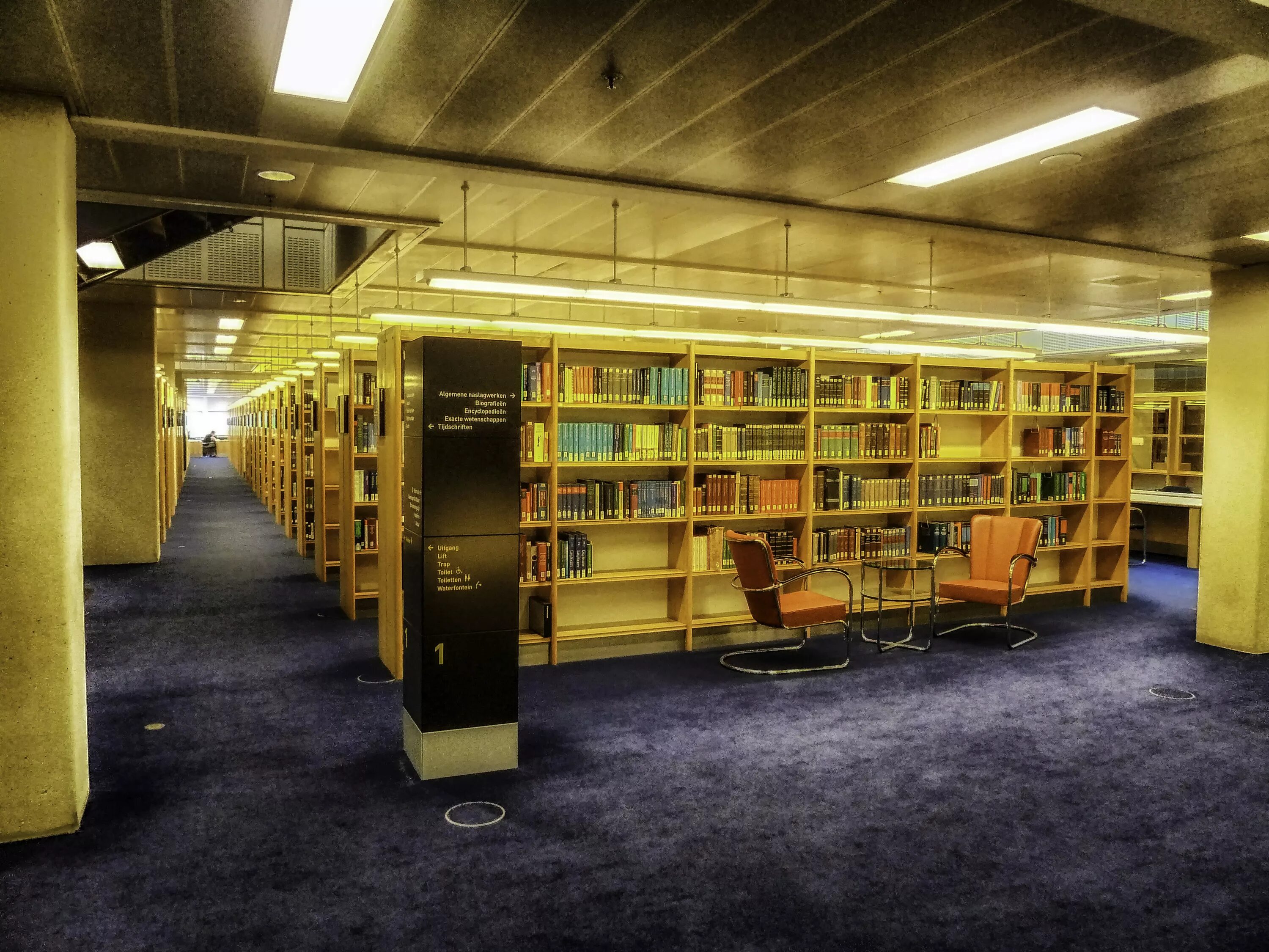 Car library. Библиотека внутри. Библиотечные полки. Библиотека изнутри. Современная библиотека.