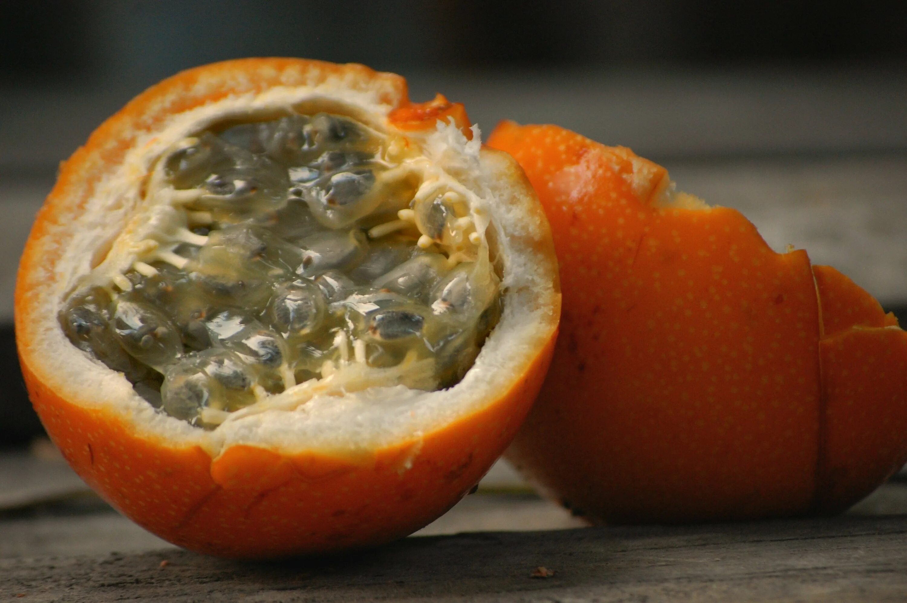 Колумбийский фрукт гранадилла. Оранжевый фрукт гранадилла. Колумбийский фрукт гранадилла. Маракуйя гранадилла. Как правильно есть гранадиллу.