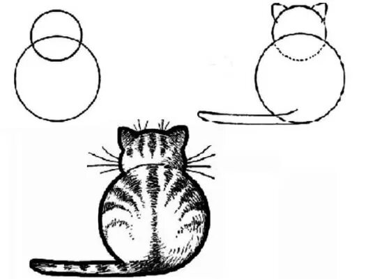Рисунок кота по схеме Легкий рисунок карандашом котик
