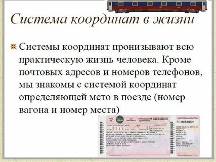 Система координат жизни