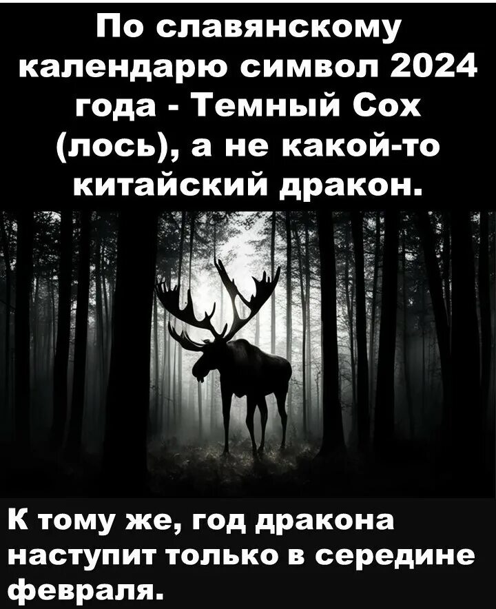 Лента