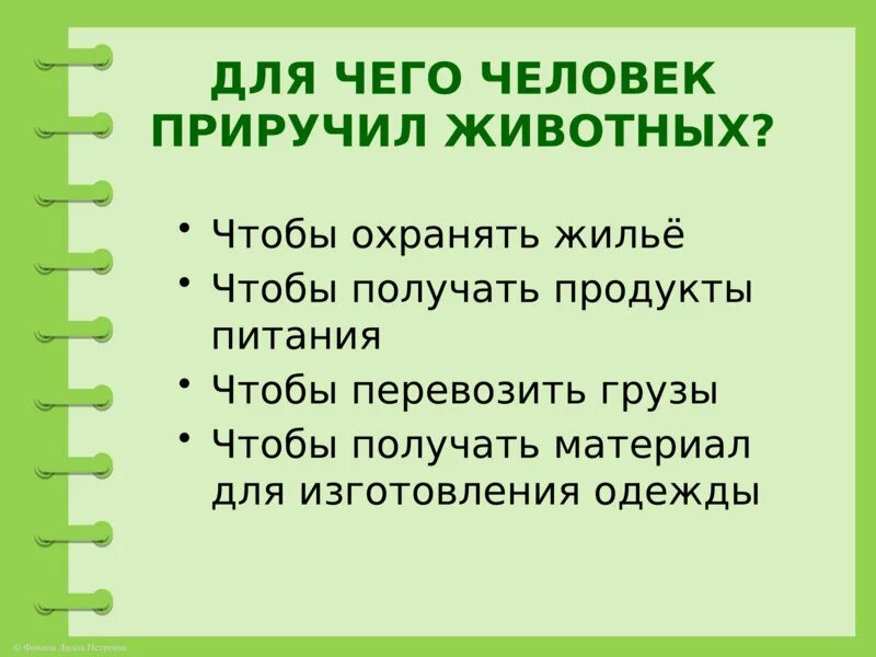 Почему люди приручают животных. Почему люди приручили диких животных 3 класс. Для чего человек приручил диких животных. Зачем люди одомашнили животных. Уроки приручения или моя несносная читать