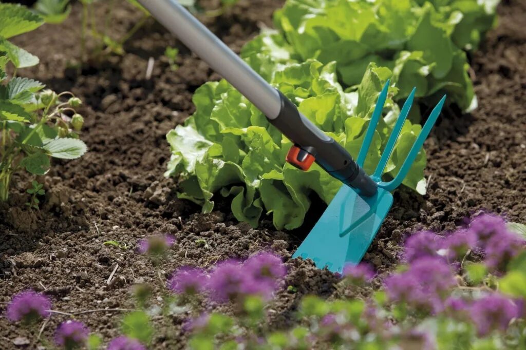 правила рыхления. рыхление для чего. рыхление комнатных растений для детей. как ухаживать за комнатными растениями. правильный полив растений.