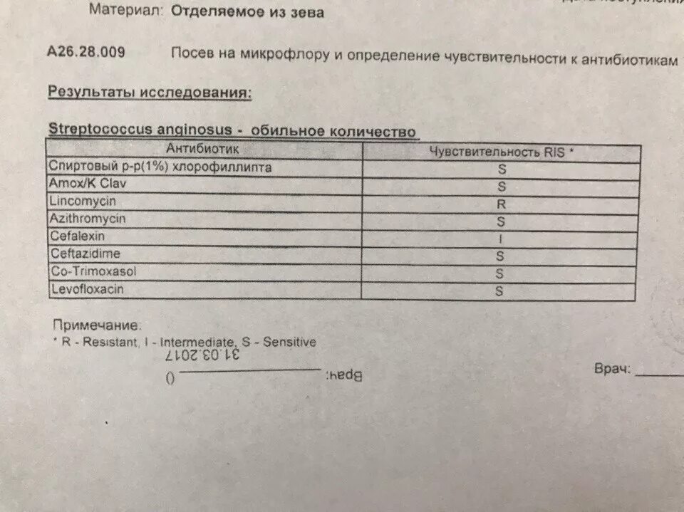 Посев мазка на микрофлору. Бак посев на флору и чувствительность к антибиотикам из зева. Посев на микрофлору и чувствительность из носа и зева. Бак посев на микрофлору зева норма. Посев носа на микрофлору.