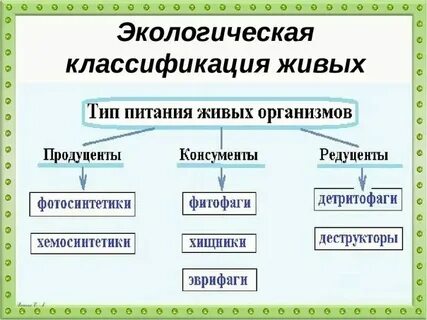 Виды живых организмов таблица
