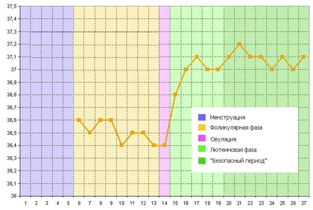 График температуры менструационного цикла. Температурный график менструационного цикла. График базальной температуры с овуляцией. График базальной температуры менструационного цикла. Базальная температура у женщин