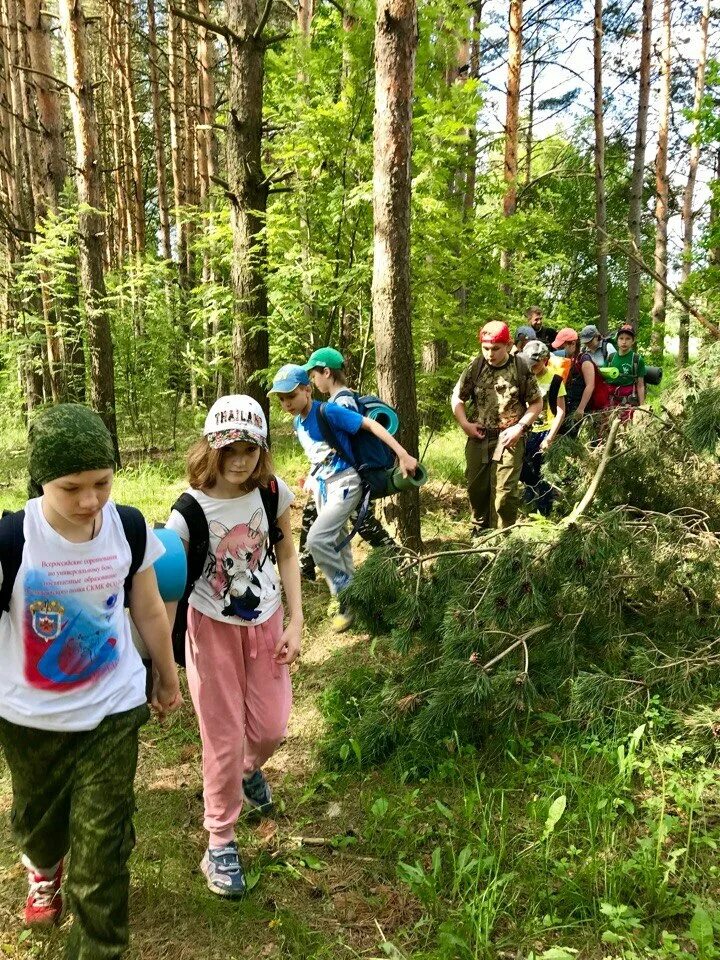 Походы детей в лес. Туризм дети. Детский туристический поход. Туристический поход в начальной школе. Детский туризм экскурсии.