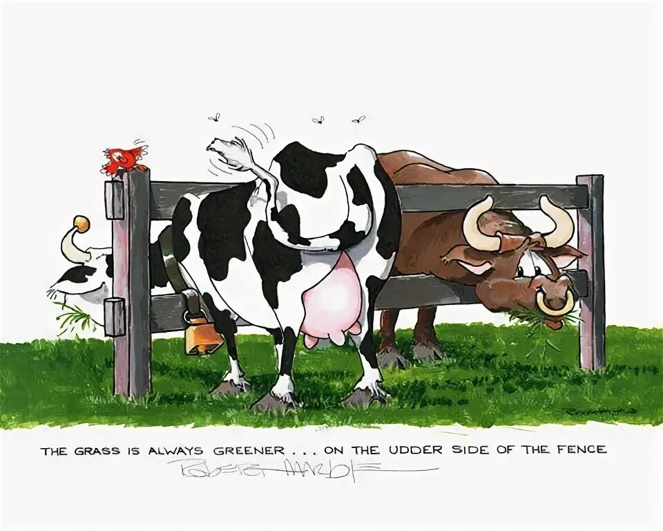 Grass greener on the other side. The grass is always greener on the other side of the fence. the glass is always greener on the other side of the fence.. the grass is always greener on the other side of the fence идиомы. on the other side of the fence.