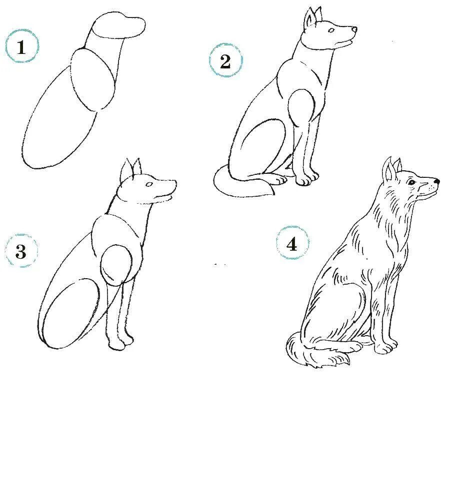 Как нарисовать пса. Схемы рисования животных. Поэтапное рисование собаки. Рисование собаки поэтапно. Поэтапный рисунок собаки.