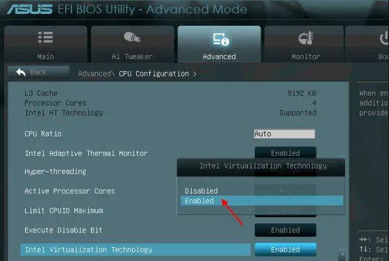 Enable virtualization