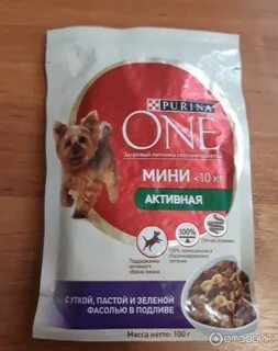 Хороший ли корм