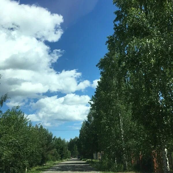 СНТ Возрождение Шатурский район. СНТ Возрождение Ломоносовский район. Низино Садоводство Возрождение. Низино СНТ Возрождение.