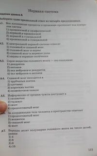 Контрольная работа 8 класс биология кровеносная система