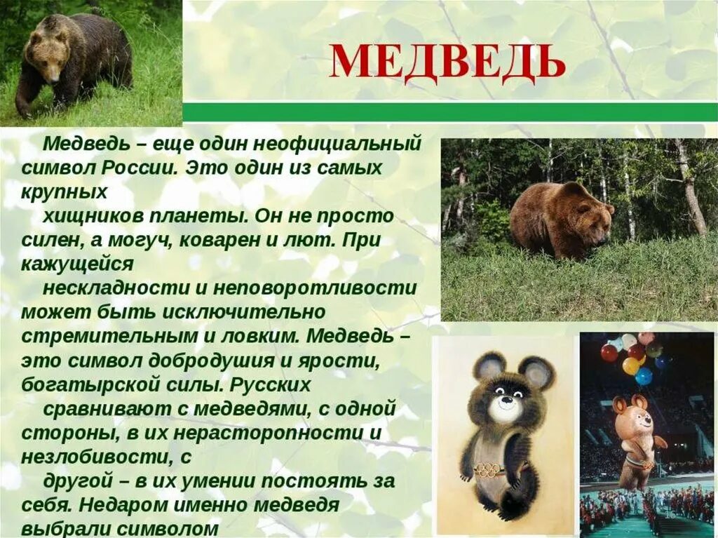 Презентация день медведя 13 декабря. Медведь символ россии. неофициальные символы россии медведь. медведи синвел россии?. день медведя презентация.