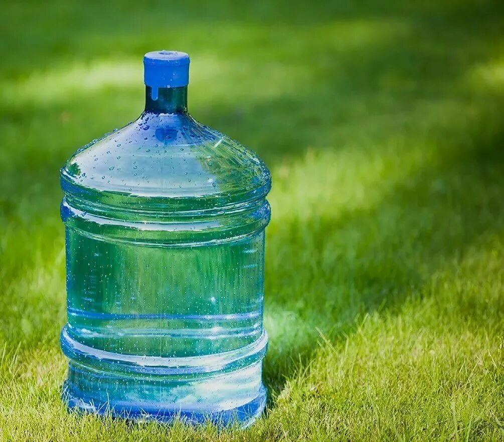 0,750 бутылка бордо оливковая. пластиковая бутылка. бутылка для воды. в бутылке зеленый. стеклянная бутылка.