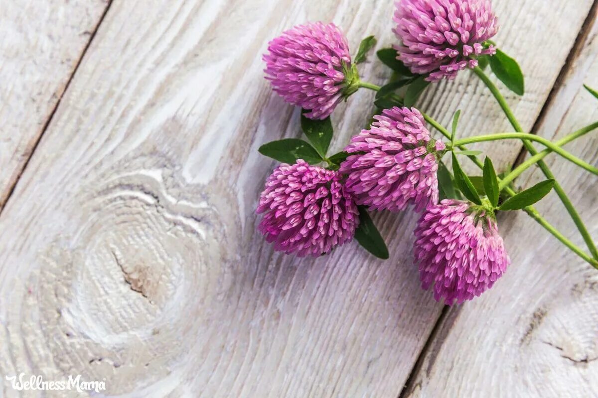 How to clover