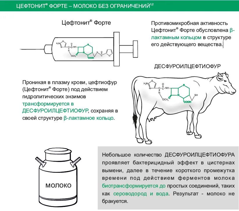 Форте инструкция по применению в ветеринарии. Цефтонит ветеринарный препарат. Цефтонит для КРС. Цефтонит,100 мл. Антибиотик для крупного рогатого скота.