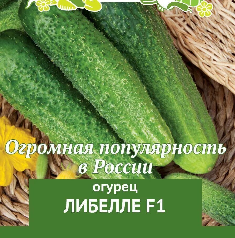 Огурец ухажер описание отзывы фото посадка Огурцы For Home And Family Ухажер F1 1+1_зеленый купить по выгодным ценам в ин