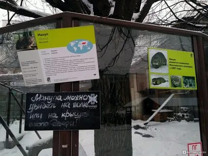 Работает ли московский зоопарк зимой