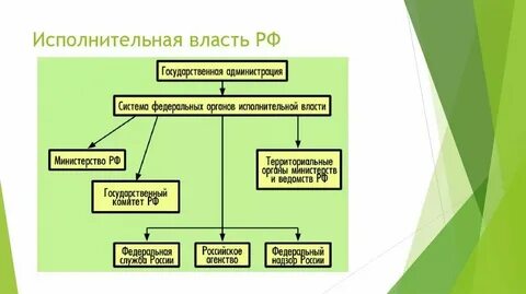К центральному исполнительному органу относятся