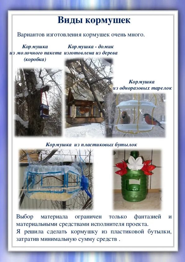 Защита проекта кормушка для птиц Кормушка проект 7 класс