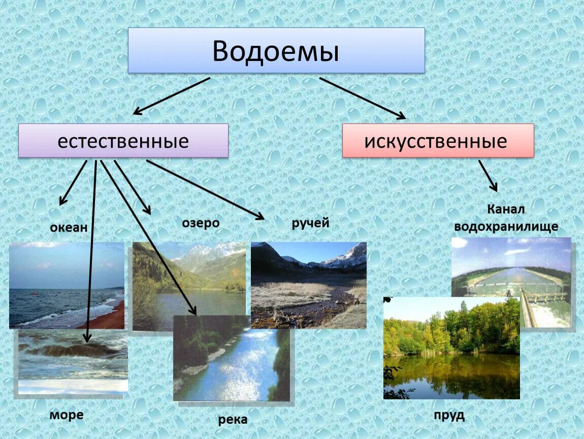 Назови озеро не относящееся к великим американским. Естественные и искусственные водоемы. Название водоемов. Водоемы естественного происхождения. Искусственные водоёмы названия.