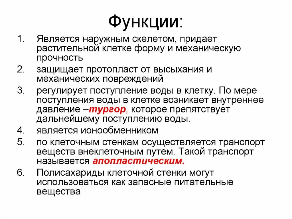 Придает клетке прочность и определяет ее форму. Является наружном скелетом клетки. является наружным скелетом клетки и определяет ее форму. механическую прочность клеткам растений придает. роль наружного скелета клетки является.