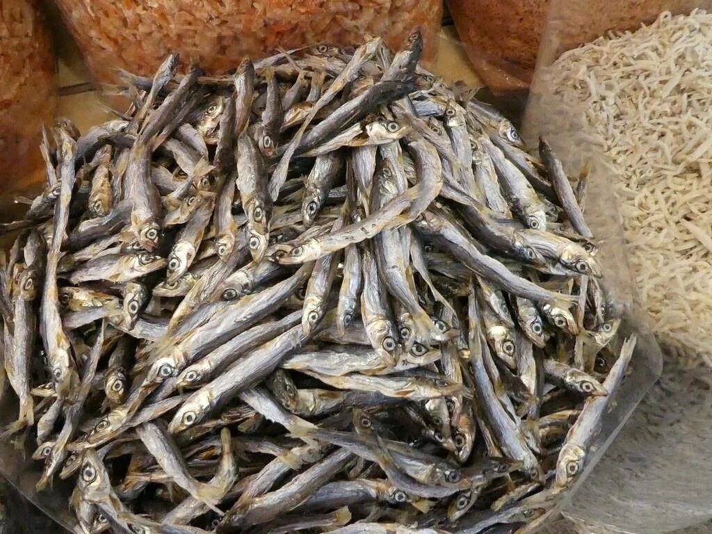 Где хранить сушеную рыбу