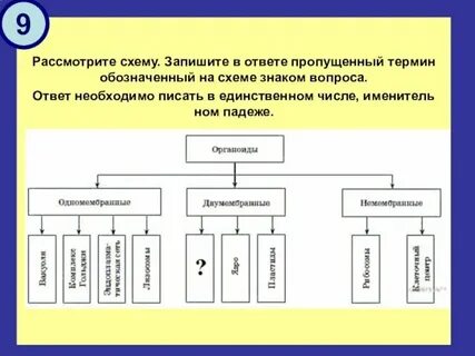 Допишите недостающие понятия 1 структуру деятельности составляют