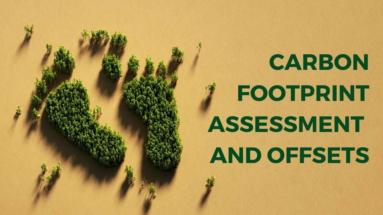Your carbon footprint. Carbon footprint. углеродный след. низкий углеродный след. сократить углеродный след.