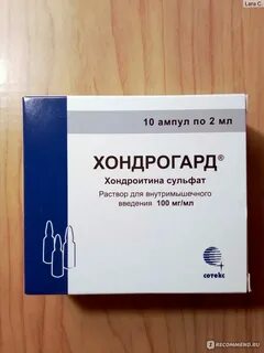 Хондрогард порошок инструкция по применению