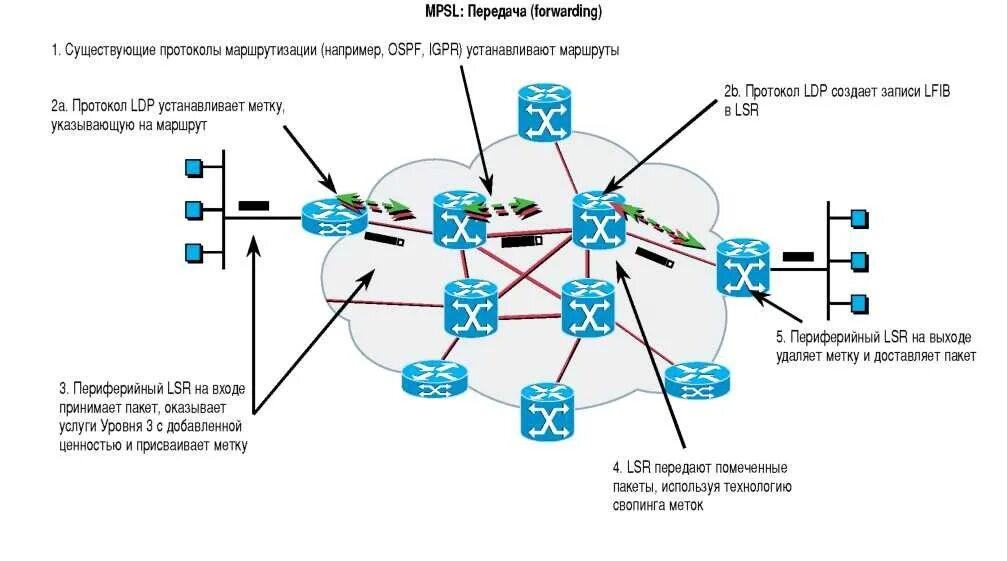 Сервисы маршрутизации. Сеть ipmpls. протоколы маршрутизации технологии mpls. ipmpls технология. схема mpls сети.