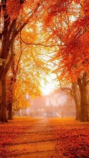 Fall 10